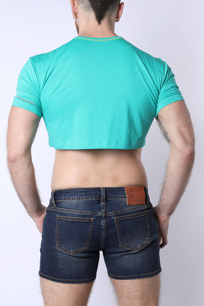 Pride 25 Crop Top