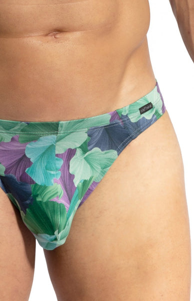 RED 2402 Brazilbrief Green