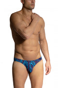 Red 2461 Brazilbrief Blue