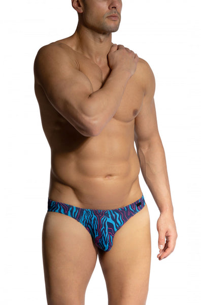 Red 2461 Brazilbrief Blue