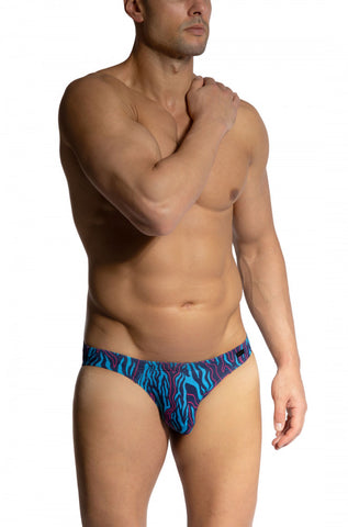 Red 2461 Brazilbrief Blue
