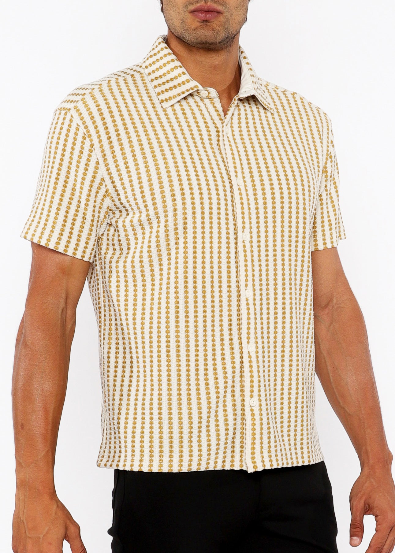 Stripe Stretch Open Knit Short Sleeve Shirt