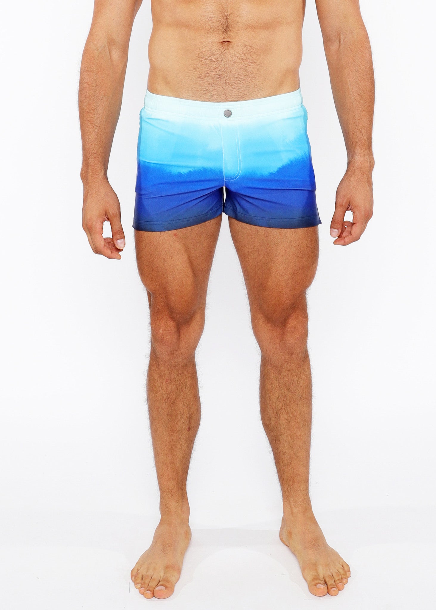 Gradient Swim Short