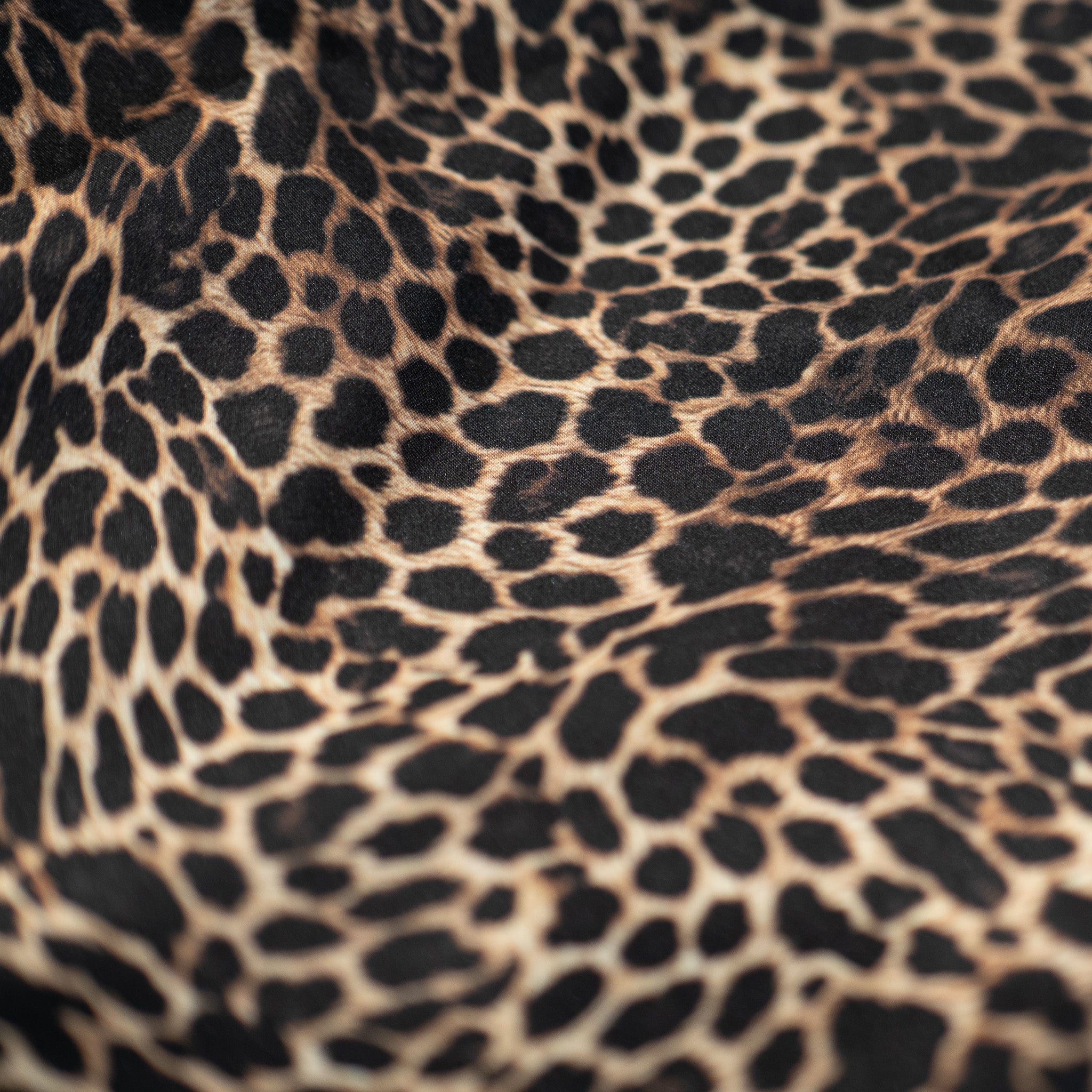 M2514 Animal Print Casual T-Shirt