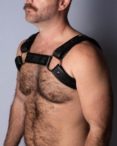 Eco Harness