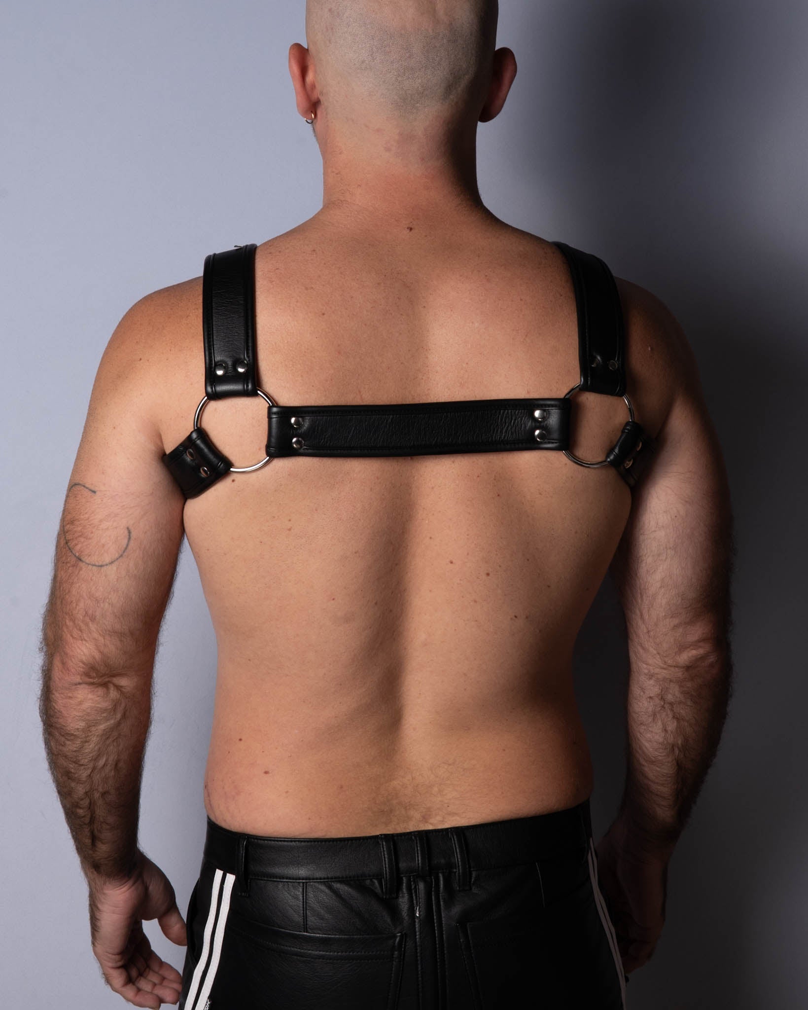 Eco Harness