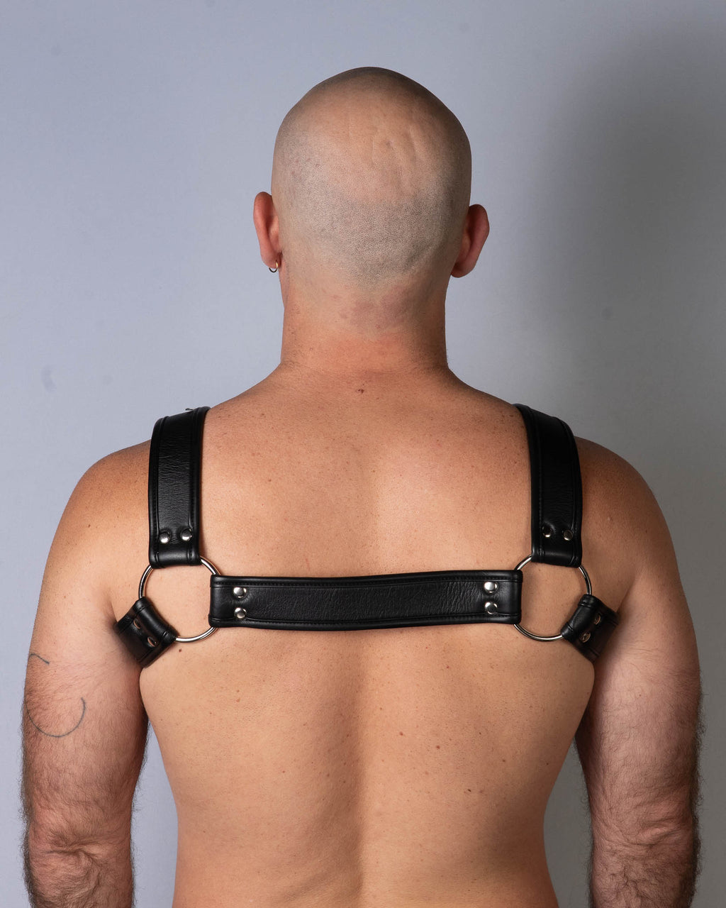 Eco Harness