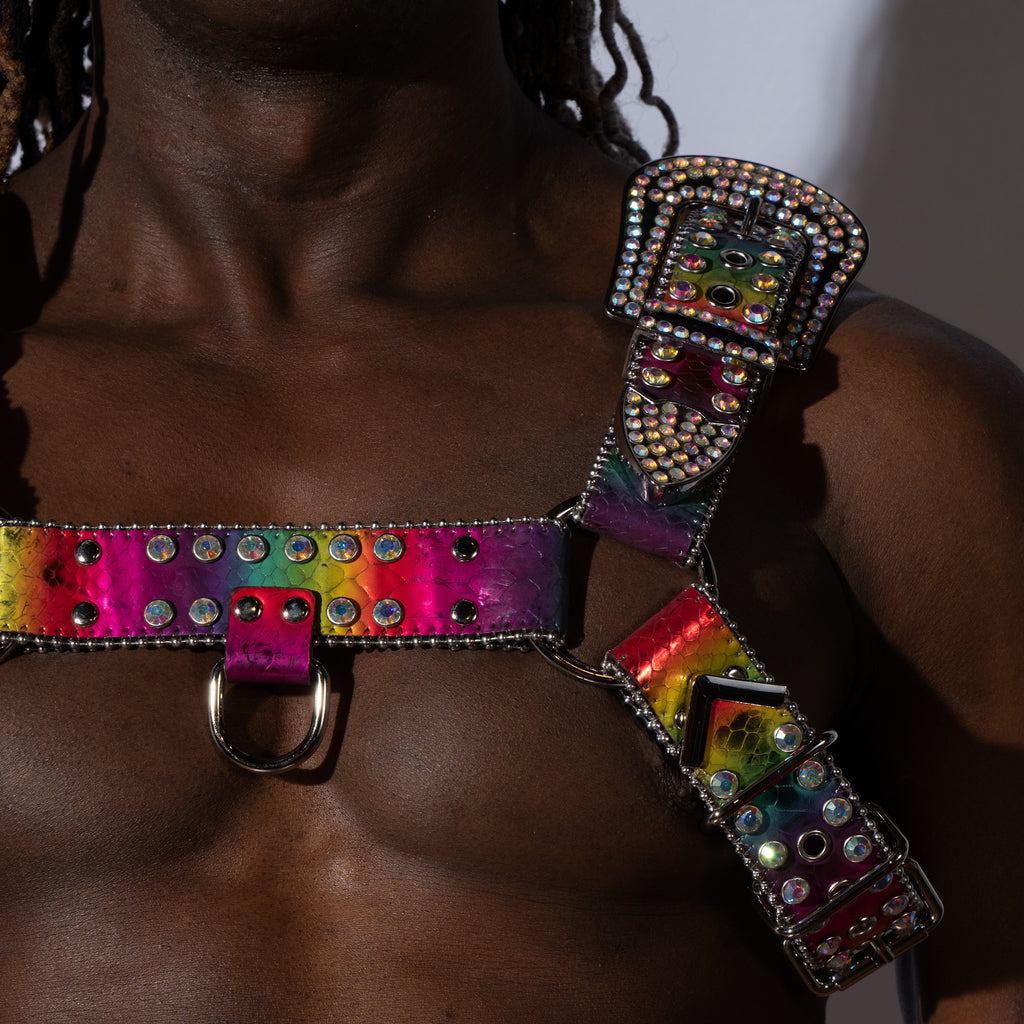 Dark Side of the Rainbow Vegan Leather Harness