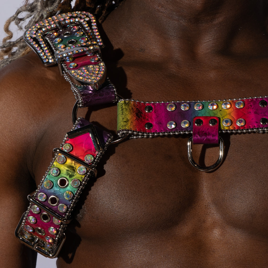 Dark Side of the Rainbow Vegan Leather Harness