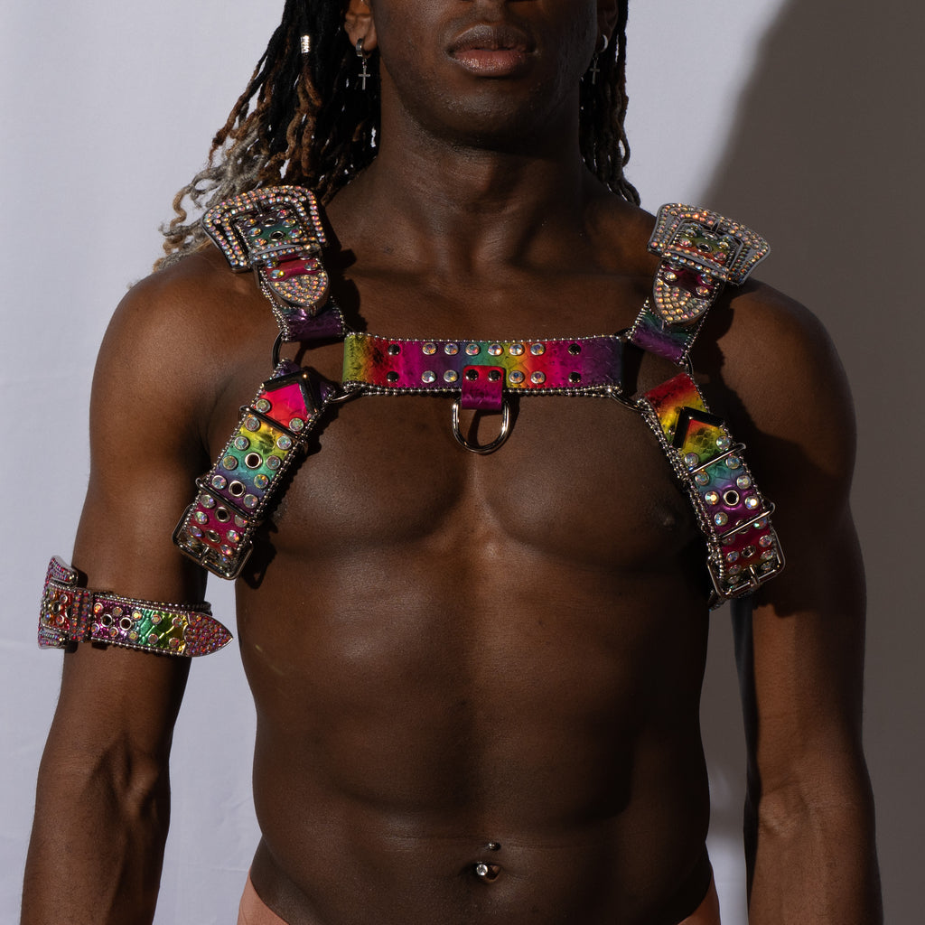 Dark Side of the Rainbow Vegan Leather Harness