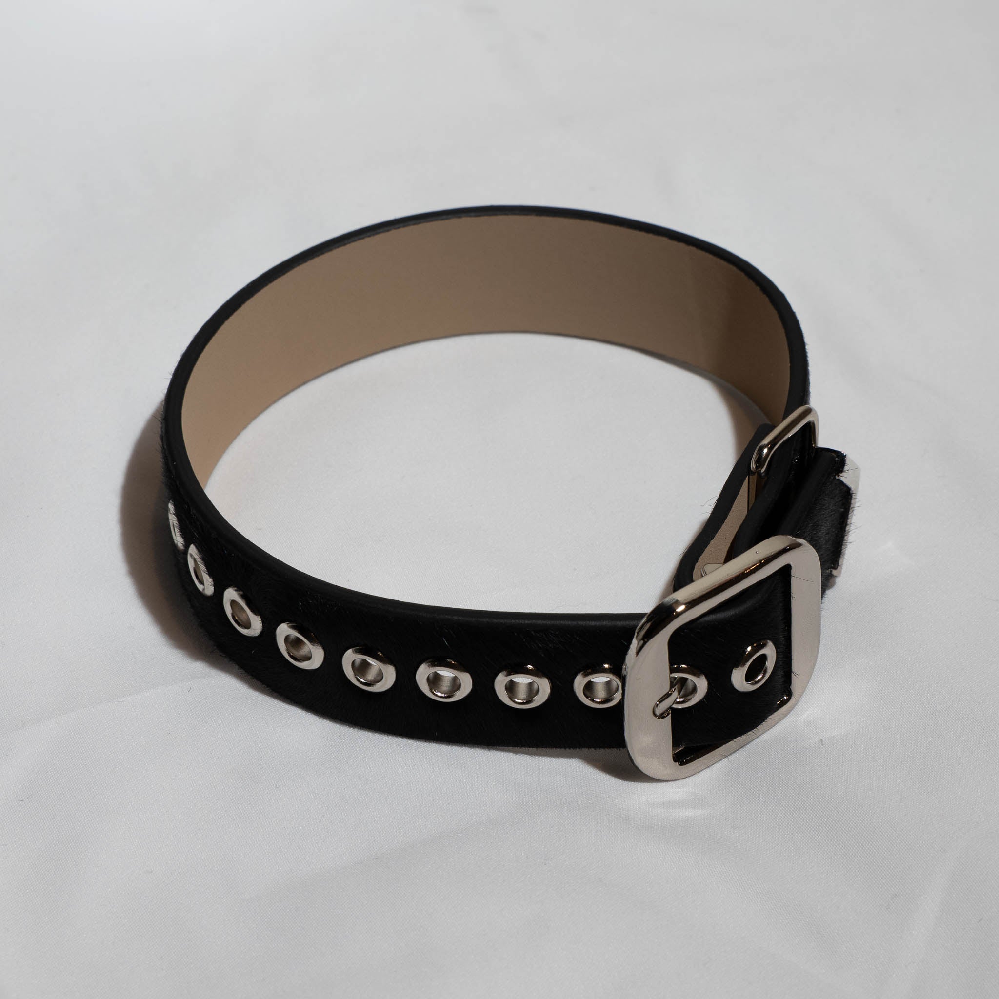 Black Stallion Arm Band