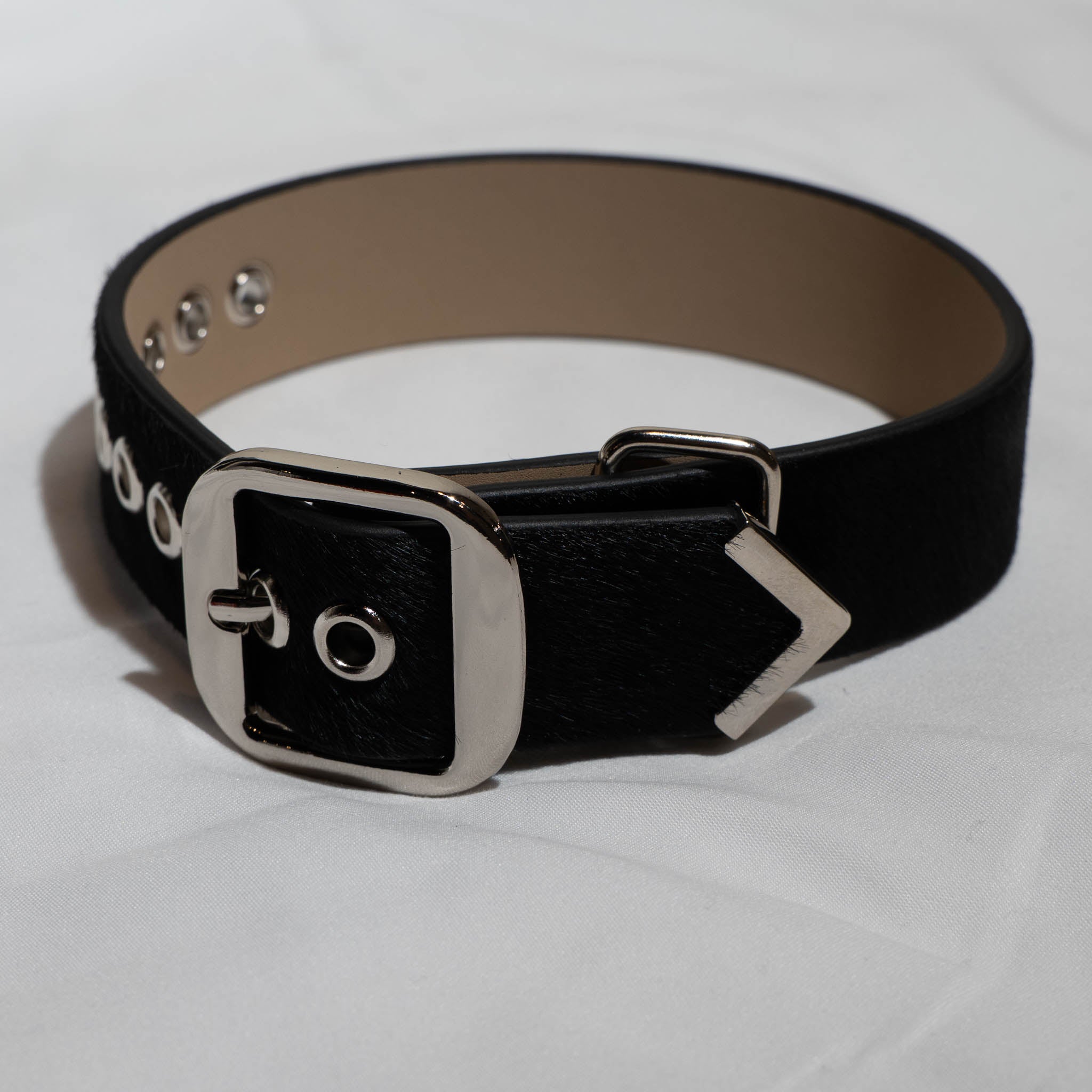 Black Stallion Arm Band