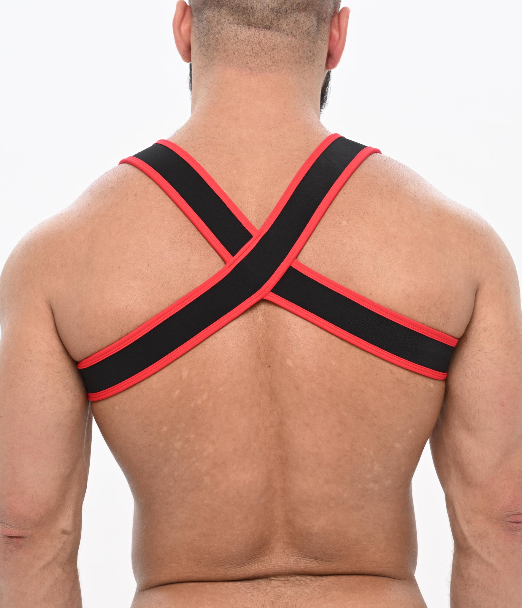 Zeus Harness