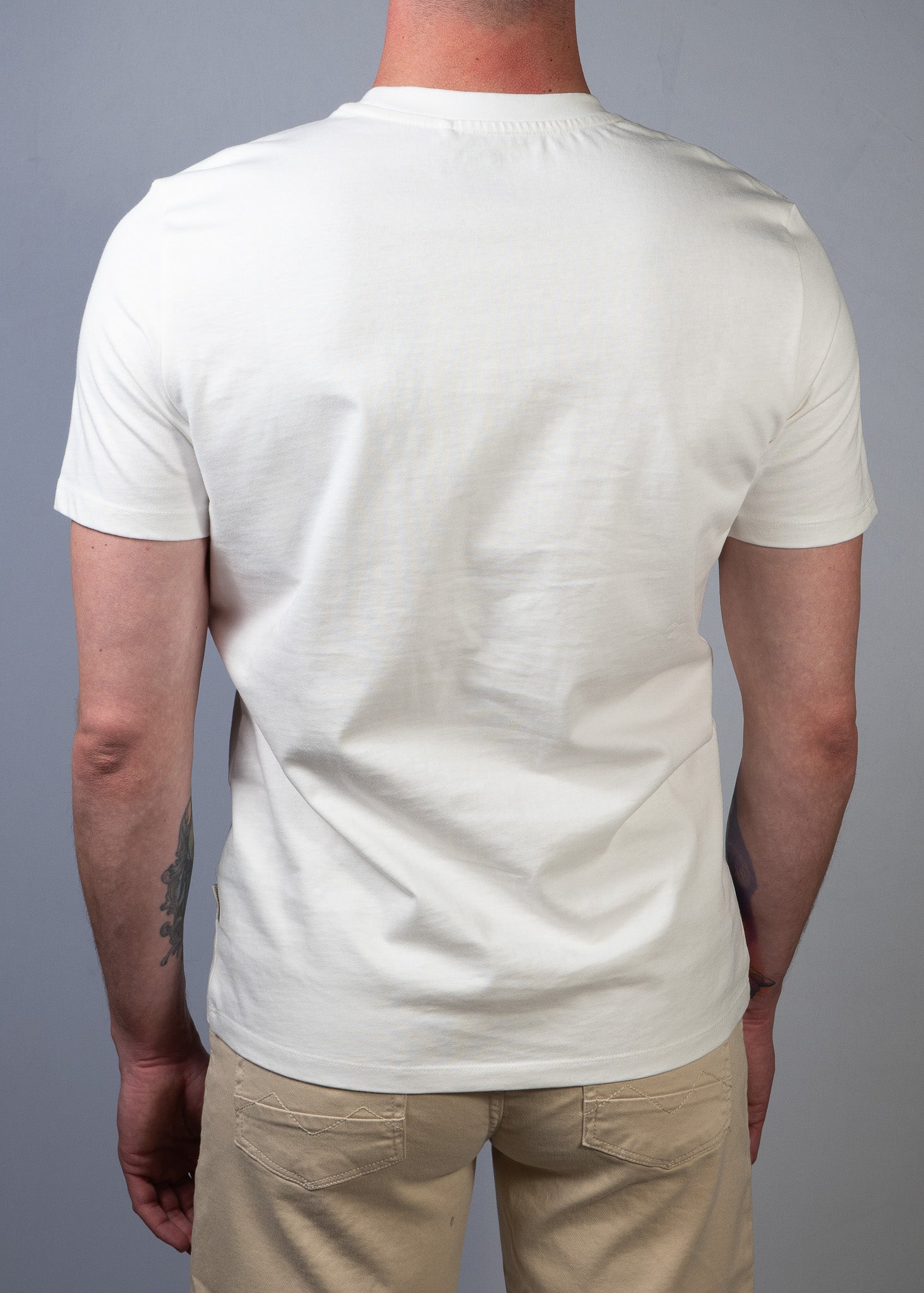 Fancy Bear Graphic Tee