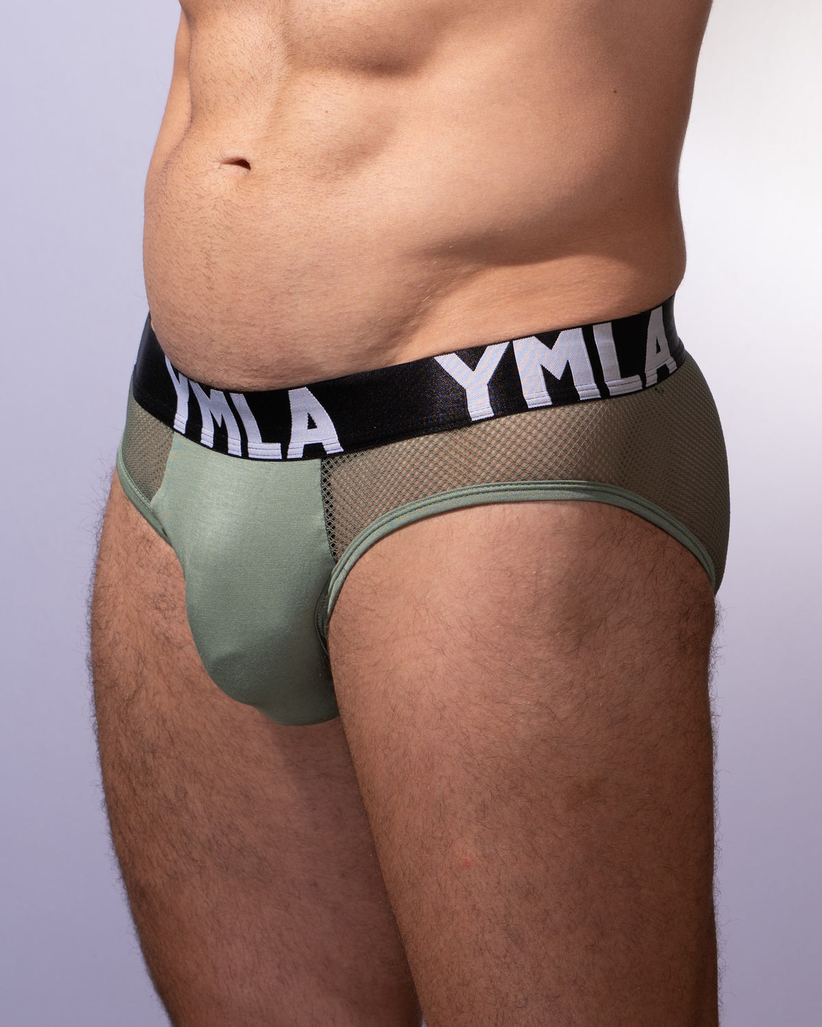 Sexy Mesh Brief