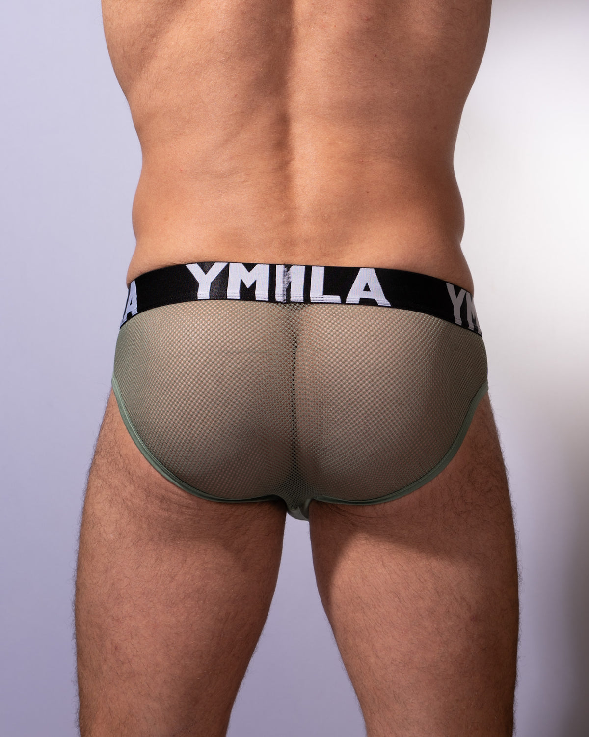 Sexy Mesh Brief