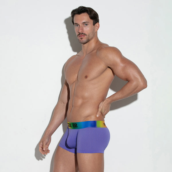 Pride Mesh Trunk