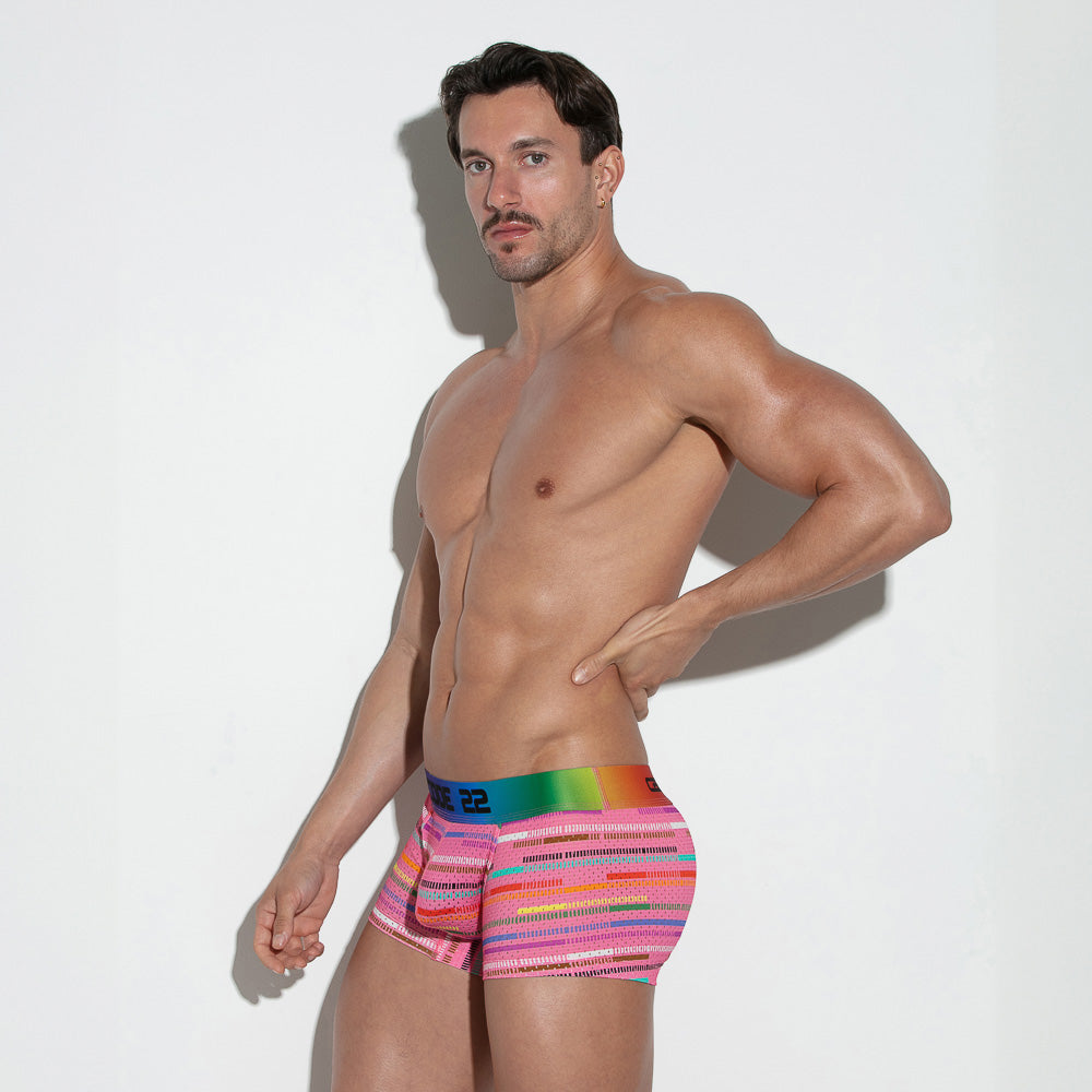 Pride Mesh Trunk