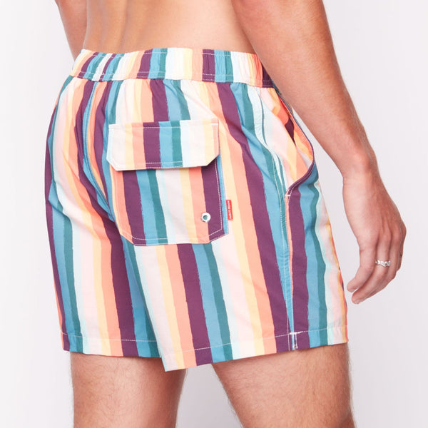 Summer Stripe 2.0 Swim Shorts