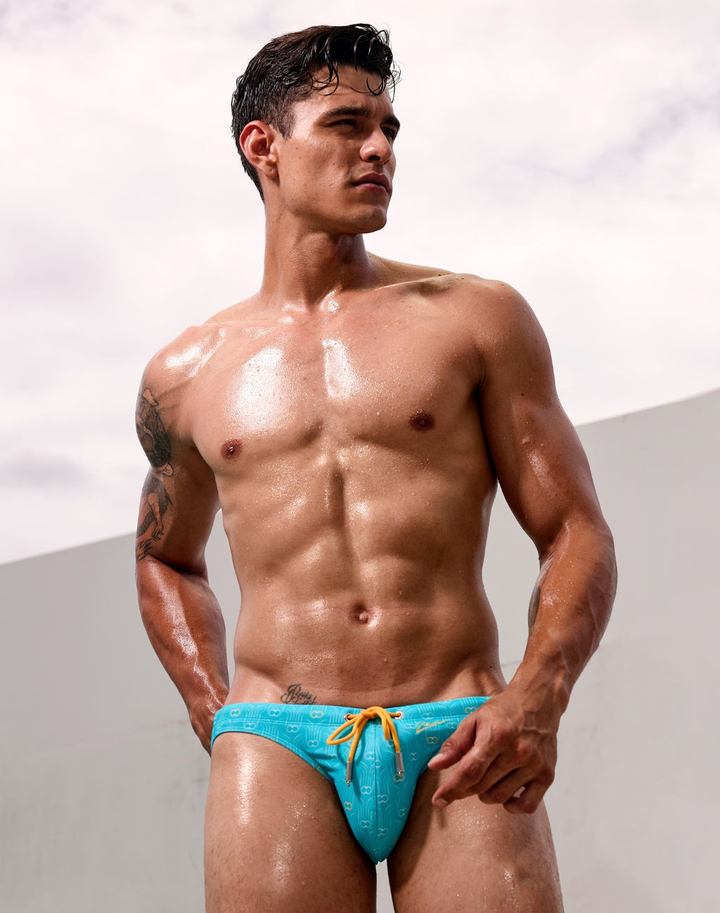 V20 Deco Crest Swim Brief