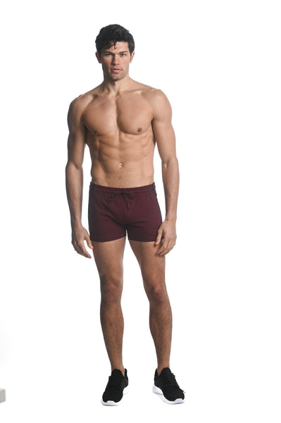 Alpha 3.5" Gym Short Currant Red