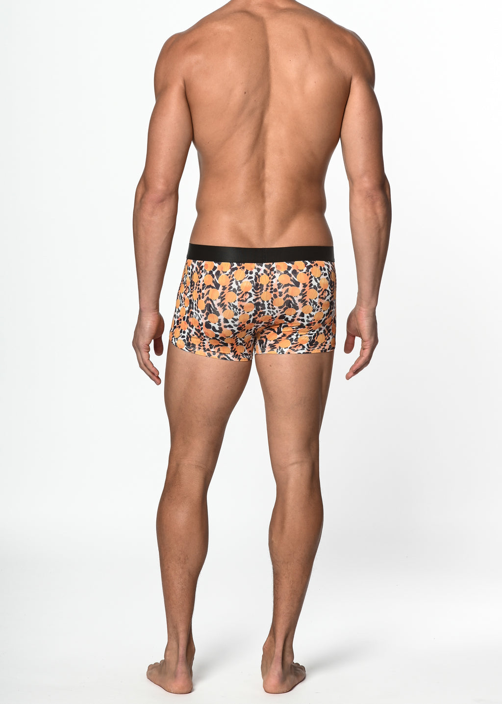 ST33LE Trunk- Jungle Dots