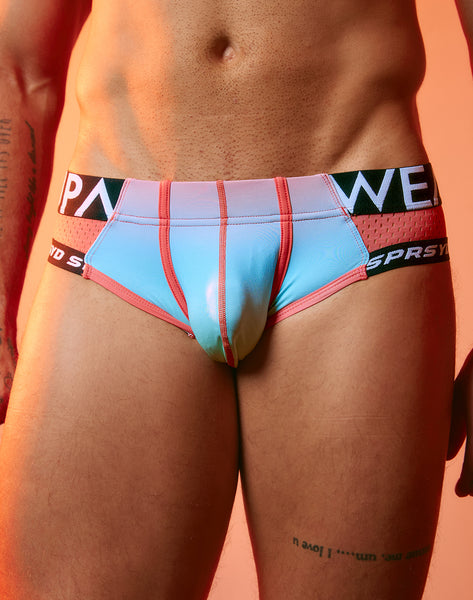 SPR Performance Brief
