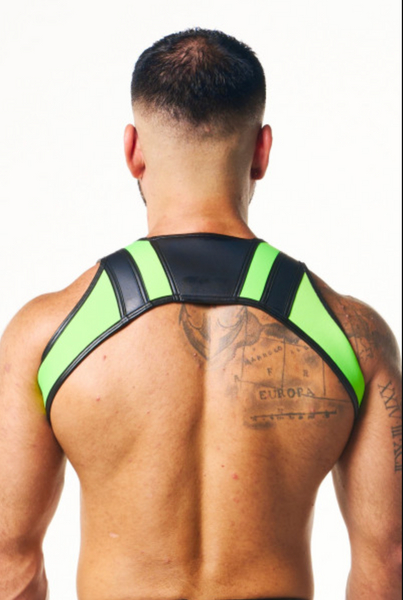 Pegasus Harness