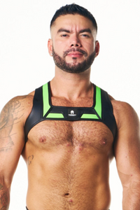 Pegasus Harness Neon Green S