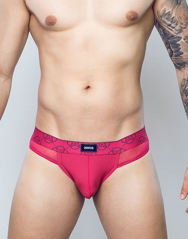 HIMEROSE BRIEF Raspberry