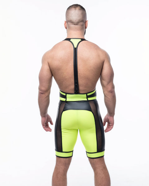 ENEA Singlet