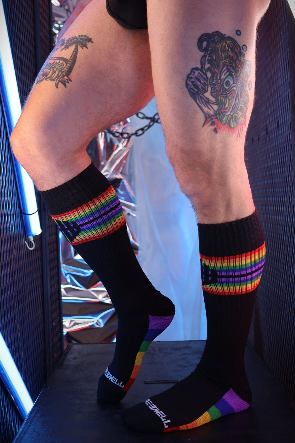 Icon Pride Socks