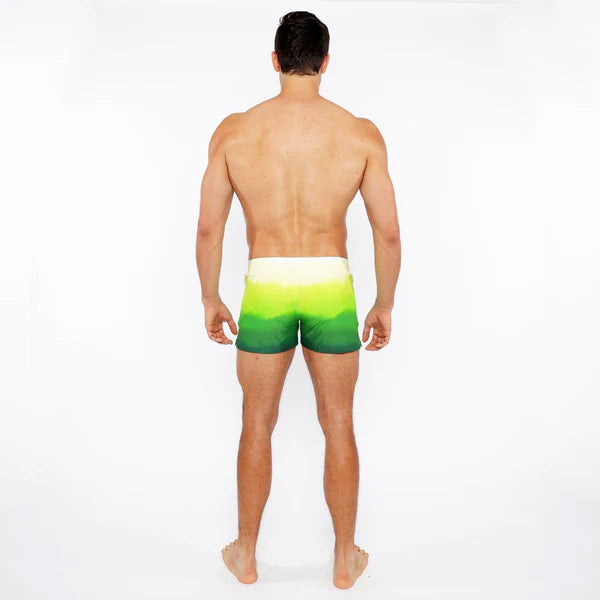 Gradient Swim Short