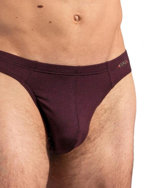 Red 2207 Brazilbrief